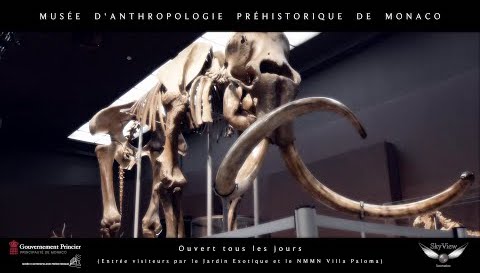 Museum of Prehistoric Anthropology of Monaco - Pub1
